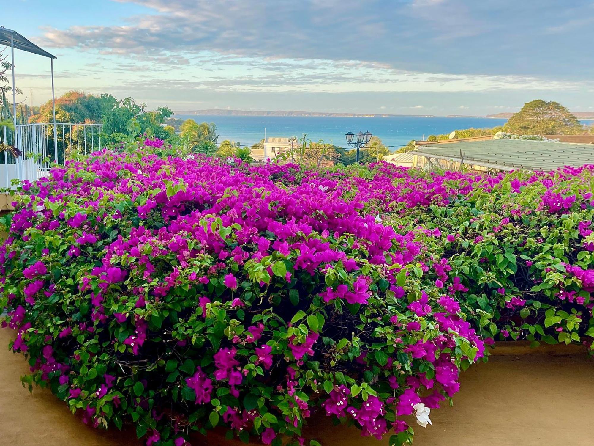 Le Jardin Exotique Hotel Antsiranana Экстерьер фото