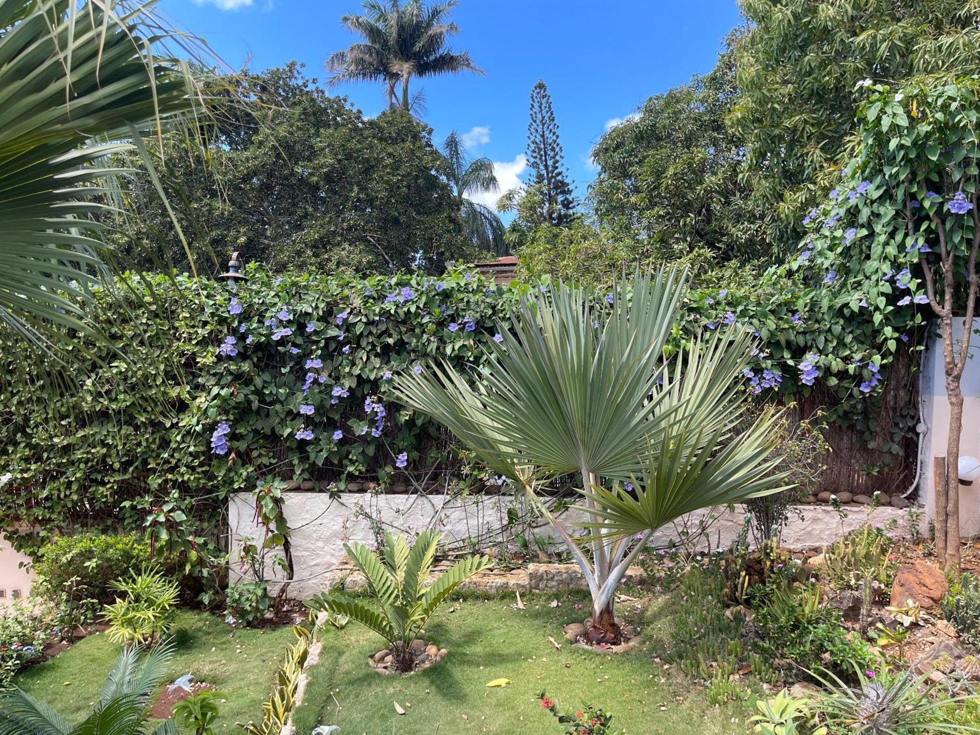Le Jardin Exotique Hotel Antsiranana Экстерьер фото