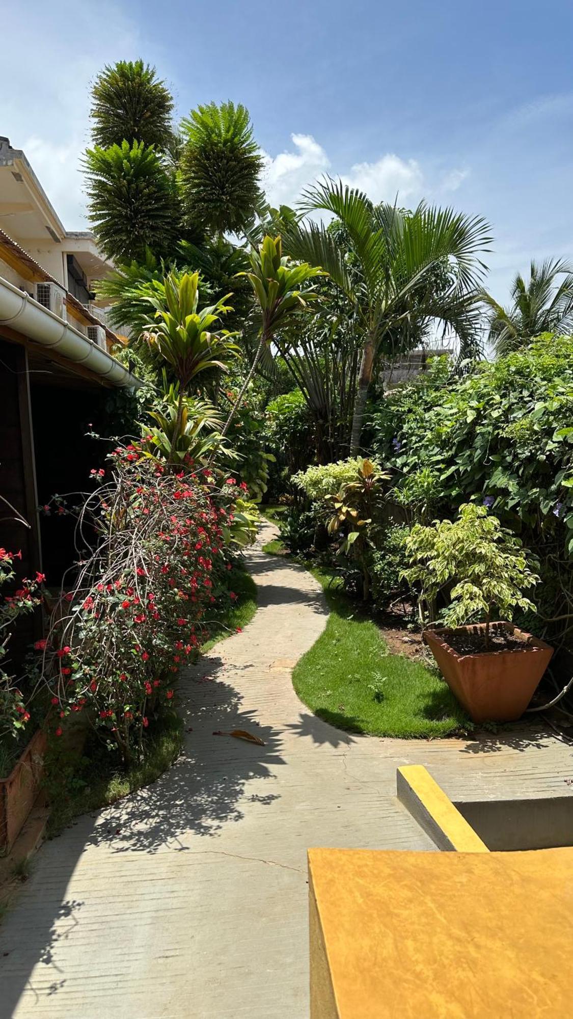 Le Jardin Exotique Hotel Antsiranana Экстерьер фото